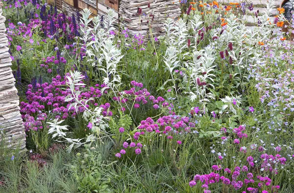 Borderpakket Roze, Paars En Grijsgroen (2 M²) 1 Borderpakket Roze, Paars En Grijsgroen (2 M²)