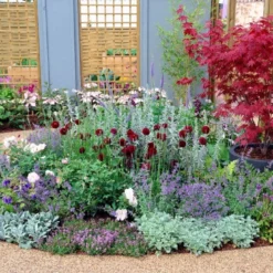 Borderpakket Zilver Met Paars