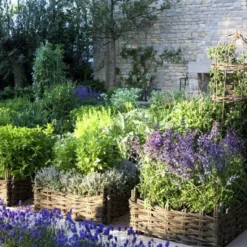 Borderpakket Kruidentuin (4 M²)