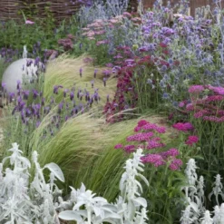 Borderpakket Roze En Blauw