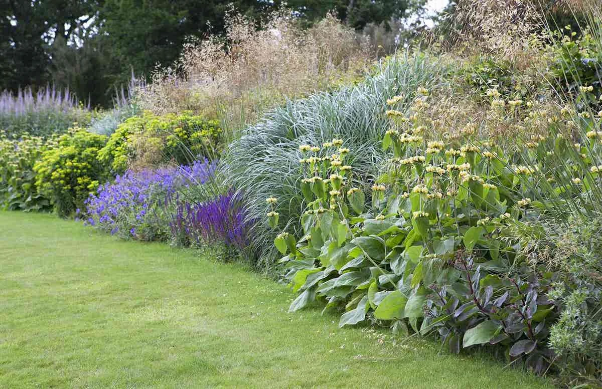 Borderpakket Onderhoudsvriendelijk (3 M²) 1 Borderpakket Onderhoudsvriendelijk (3 M²)