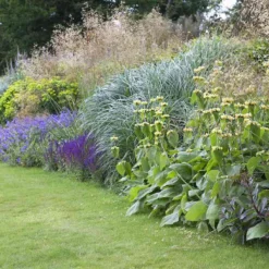 Borderpakket Onderhoudsvriendelijk (4,5 M²)