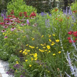Borderpakket Vlindertuin (2 M²)
